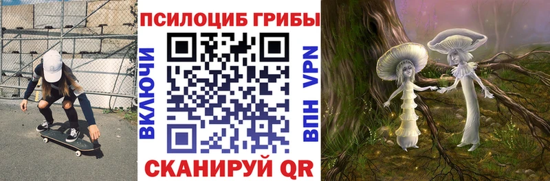 Галлюциногенные грибы мицелий  Купить  Хвалынск 